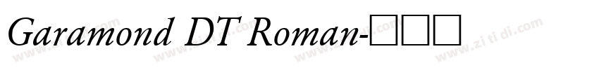Garamond DT Roman字体转换